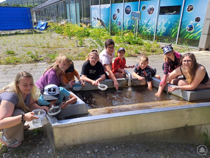 Kinder aus dem Don Bosco Förderzentrum der Caritas im Haus am Strom. Umweltpädagogin Gaby Steinbeisser-Rieger (Mi.) führt das sogenannte „Wasser-Programm“ durch. Eine Gruppe von Kindern und zwei Erwachsenen knien an einem Wasserbecken im Freien, während sie mit Keschern und Schalen kleine Wassertiere untersuchen. Im Hintergrund ist das Gebäude des „Haus am Strom“ mit blauer Wandgestaltung sichtbar.