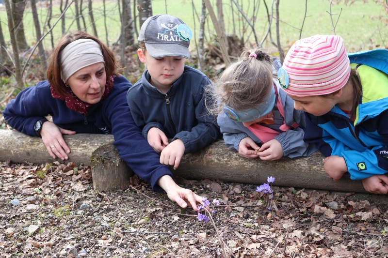 Welche Blumen blühen im Frühling im Nationalpark? Dies und noch viel mehr erfahren Kinder beim Oster-Ferienprogramm des Nationalparks.