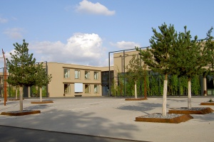 Am Institut für Hören und Sprache kehrt der Alltag nur ganz langsam zurück