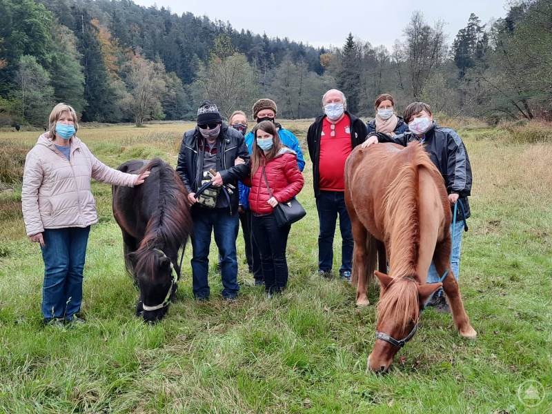 Ein langer Spaziergang mit den Pferden der Fachgebietsleitung.