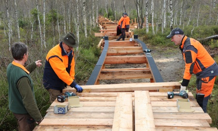 Durchs Finsterauer Filz führt künftig ein Bohlensteg