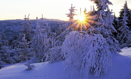 Raureifträume im Dezember