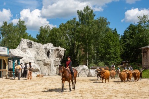 FERIENENDSPURT IM WILDEN WESTEN