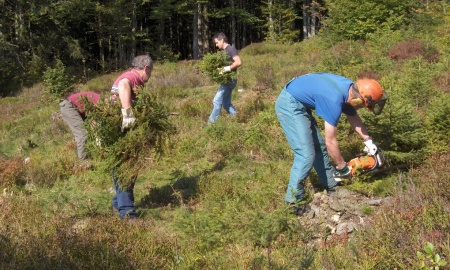 Wer will bei der Schachtenpflege mithelfen?