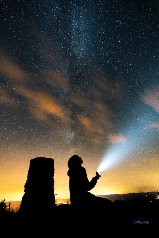 Flyer/Grafik zum Event: Taschenlampen-Wanderung am Sa., 06.04.2024 - Sa., 11.05.2024