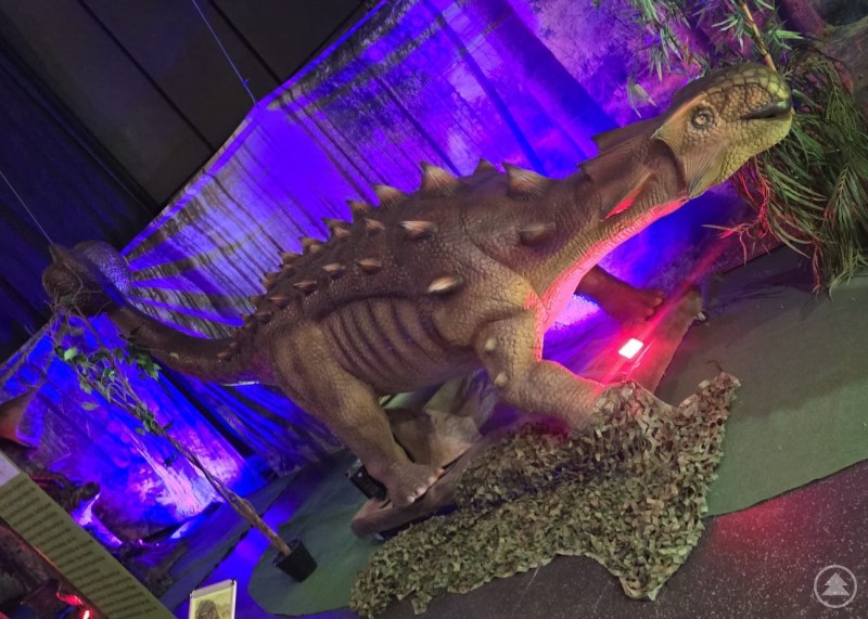 Kleiner Dino auf allen Vieren mit spitz abstehenden Panzerplatten am R&uuml;cken wird blau beleuchtet.