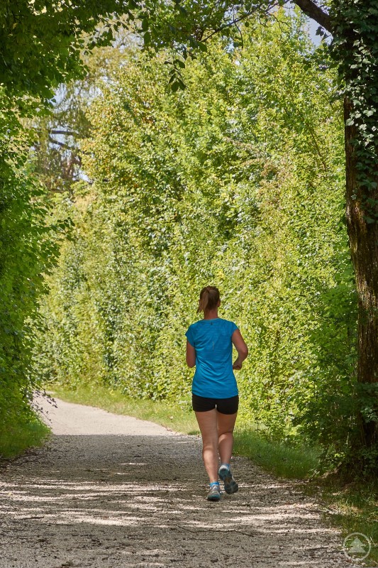 Joggen im Grünen: Laufkurse für Anfänger sollen den Einstieg in einen aktiven Lebensstil erleichtern. Eine Frau joggt auf einem schattigen Waldweg, umgeben von dichtem Grün und Sonnenlicht, das durch die Bäume fällt.