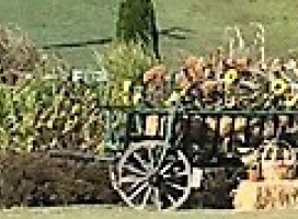 Herbstzeit - Erntezeit