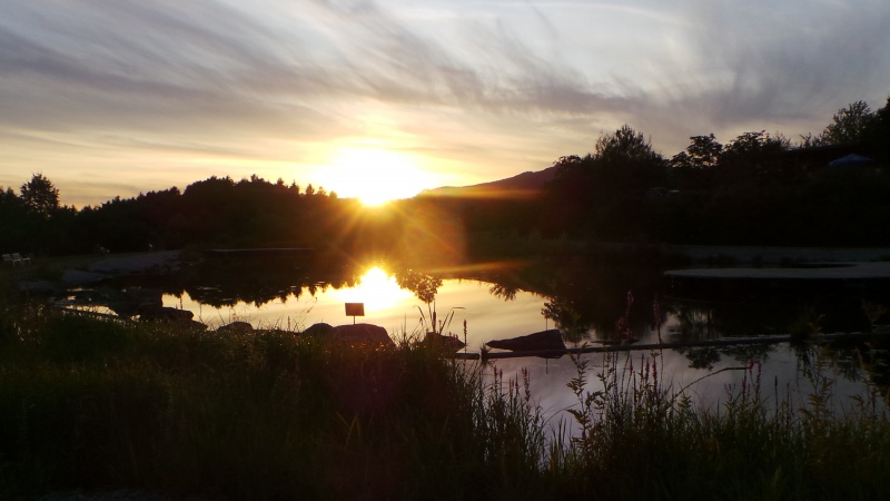Flyer/Grafik zum Event: Aktion Streuobst "Kleine Schatten der Nacht - Fledermäuse in der Obstwiese" am Fr., 14.08.2020 von 21:00 bis 23:00 Uhr