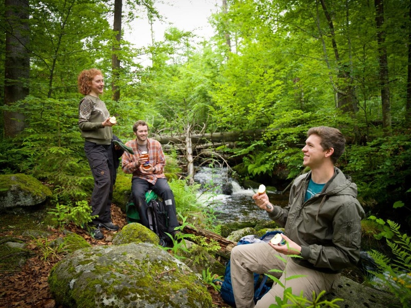 Flyer/Grafik zum Event: Wanderung "Glasperlen & Waldgeheimnisse" am Sa., 01.06.2024 - So., 03.11.2024