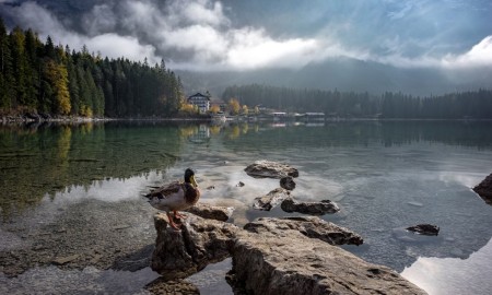 Die besten Plätze zum Spielen in Bayern
