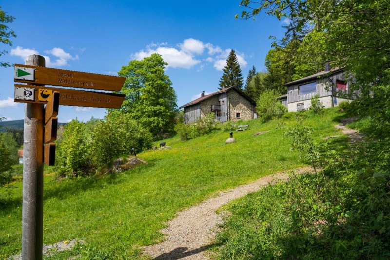 Flyer/Grafik zum Event: Galerie Heinz Theuerjahr mit der Ausstellung Fokus Afrika am Sa., 07.06.2025 - Fr., 31.10.2025