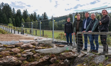 Neue Gehege für Gelbbauchunken und Feuersalamander im Nationalparkzentrum Falkenstein