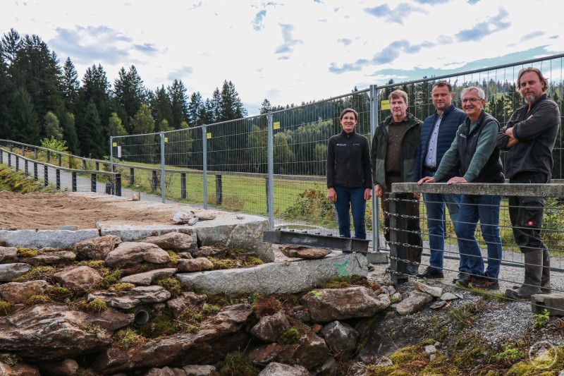 Auf Baustellenbesuch am künftigen Gehege für Gelbbauchunken im Nationalparkzentrum Falkenstein: Nationalparkleiterin Ursula Schuster (v.l.), Prof. Marco Heurich, Bürgermeister Gerd Lorenz, Josef Wanninger, Sachgebietsleiter Servicezentren und Bauwesen, und Reptilienexperte Paul Hien. Fünf Personen stehen an einem Zaun mit Bauzaunelementen vor einer Baustelle im Grünen. Im Vordergrund sind Steine und Erdarbeiten sichtbar, im Hintergrund eine Wiese und Wald.