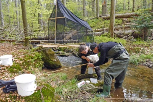 Biodiversität grenzübergreifend unter der Lupe