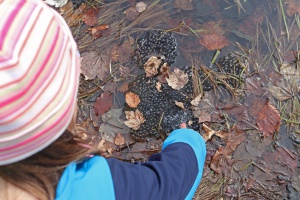 Spannendes Osterfest für Entdecker und Abenteurer