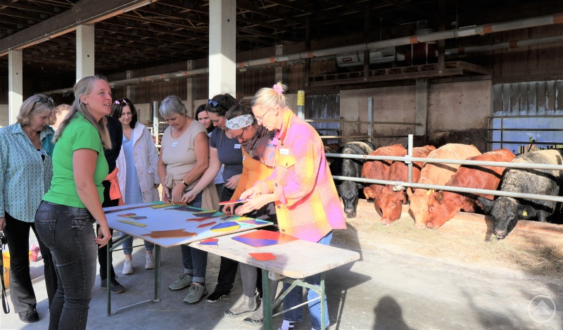 Im Kuhstall wird eifrig gepuzzelt. Lehrerinnen erproben das Programm „Erlebnis Bauernhof“ bei Erlebnisbäuerin Martina Weber (2. v. li.).