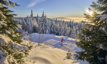 Beste Bedingungen für die „Woid Team Trophy“