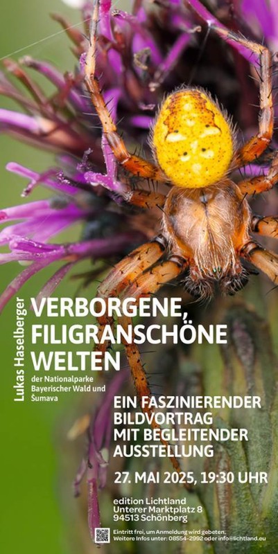 Flyer/Grafik zum Event: Verborgene, filigranschöne Welten 2025 am Di., 27.05.2025 ab 19:30 Uhr