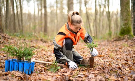 Bildungsprogramm Wald startet wieder