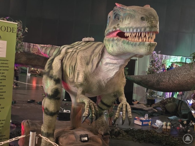 Die Größe der Nachbildungen machten Eindruck auf die Besucher Der lebensgroße T-Rex wirkt mit seinen Krallen und dem großen Maul besonders bedrohlich und wird dunkel beleuchtet.