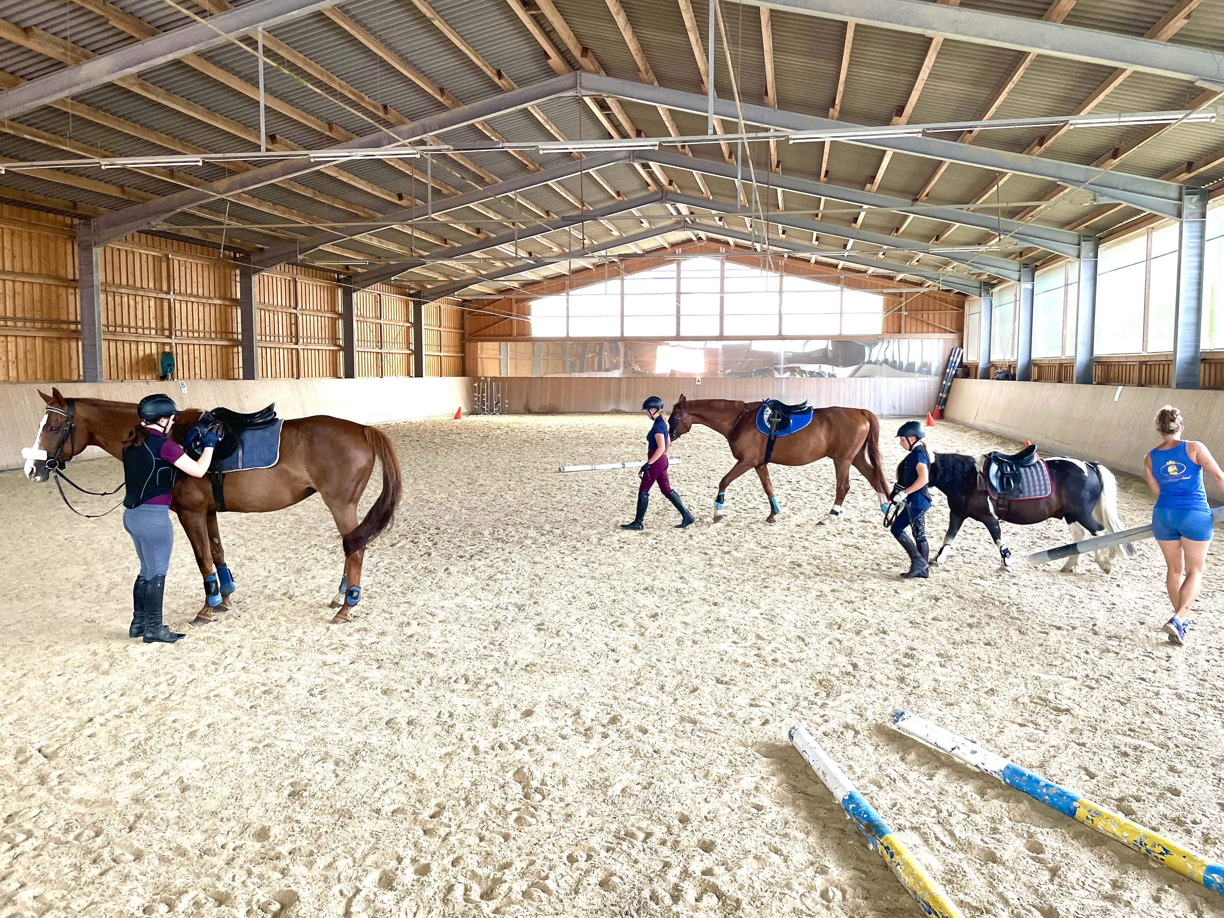 Eine große Reithalle steht für Reitstunden und bei schlechtem Wetter zur Verfügung