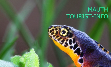 "Traumhafte Bayerwaldnatur"