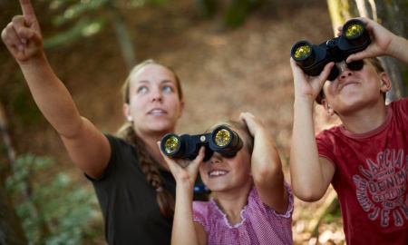 Von wilden Wäldern, rauschenden Bächen und starker Musik