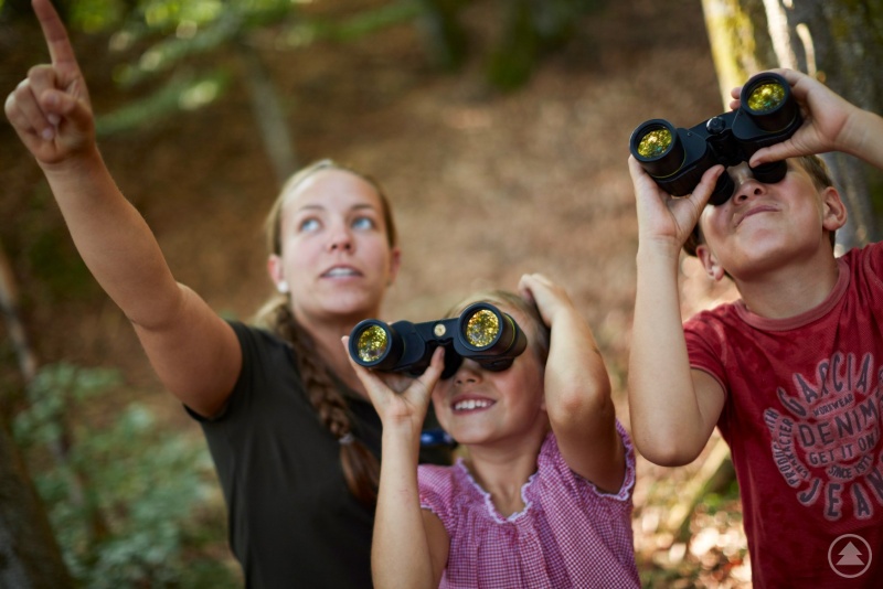 Wilde Wälder, rauschende Bäche und starke Musik, können Kinder und Jugendliche in den Sommerferien im Nationalpark Bayerischer Wald erleben