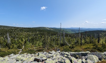 Erlebnisse mit dem Handy planen