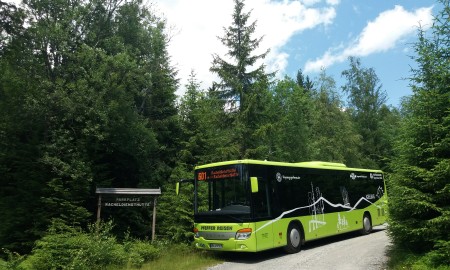Mit den Igelbussen 601, 602 und 603 Ziele im Bayerischen Wald entdecken