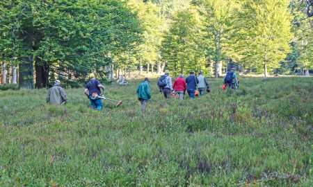 Helfer für Schachtenpflege gesucht