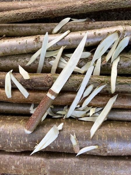 Flyer/Grafik zum Event: Nationalpark exklusiv - Grünholzschnitzen am Sa., 28.03.2026 von 13:00 bis 16:00 Uhr