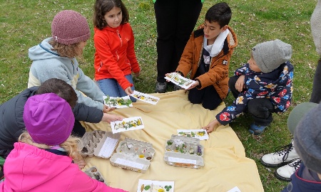 Grundschulkinder erleben die Streuobstwiese