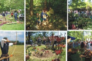 5. Grüner Sonntag Grafenau Bay. Wald