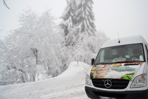 Unterwegs mit dem rollenden Supermarkt