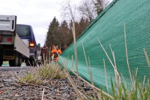 Kröten, Molche und Co sind wieder auf Wanderschaft
