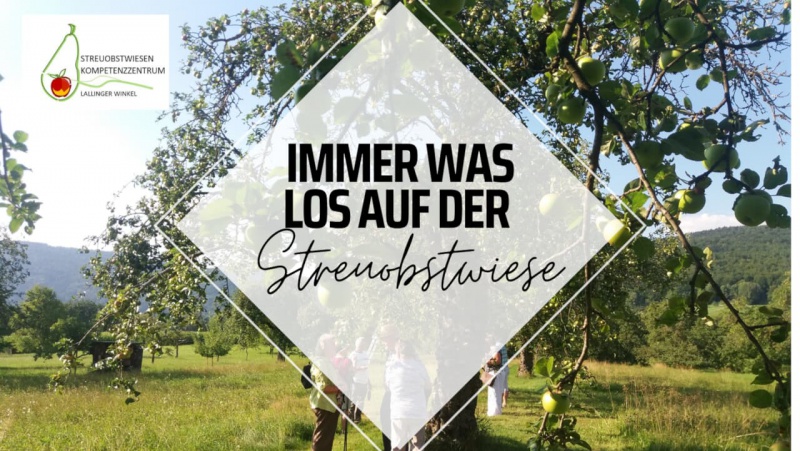 Flyer/Grafik zum Event: GEHnuss-Wanderung - Streuobstwiesen mit Panoramaaussichten am So., 29.08.2021 von 14:00 bis 18:00 Uhr