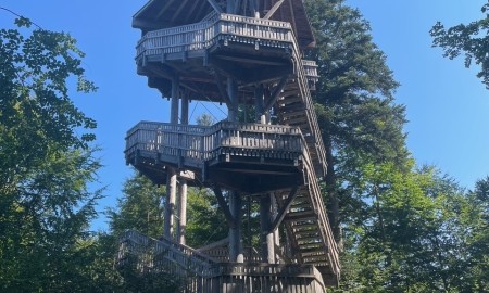 Turm am Wolfsgehege wird saniert