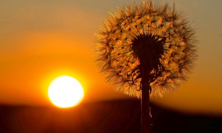 Maiwetter 2025 im Bayerwald
