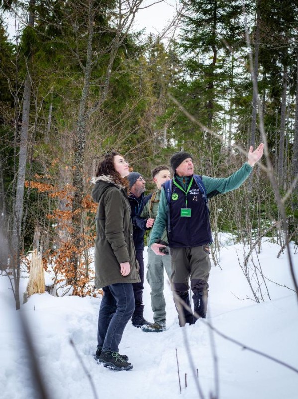 Flyer/Grafik zum Event: Auf Spurensuche durch die Wildnis am Di., 03.02.2026 - Di., 17.02.2026