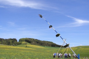 Das 1 x 1 des Maibaumstehlens