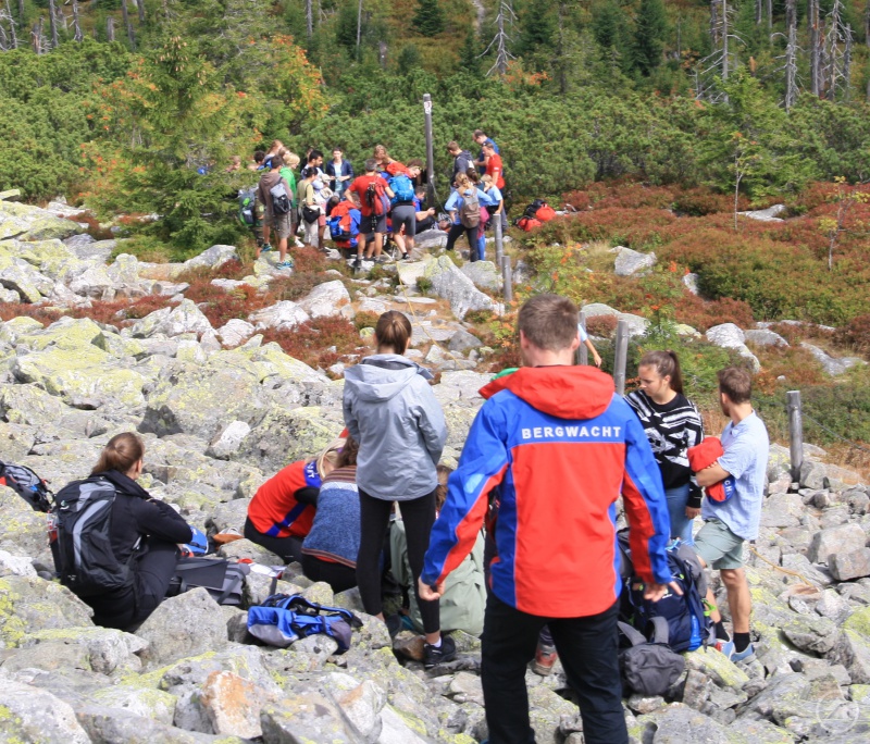 Die Studenten sehen bei der Versorgung der beiden Verletzten zu.