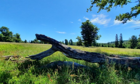Genießertour zum Hochschachten