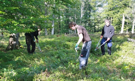 Wald-Verein sucht Helfer bei der Schachtenpflege