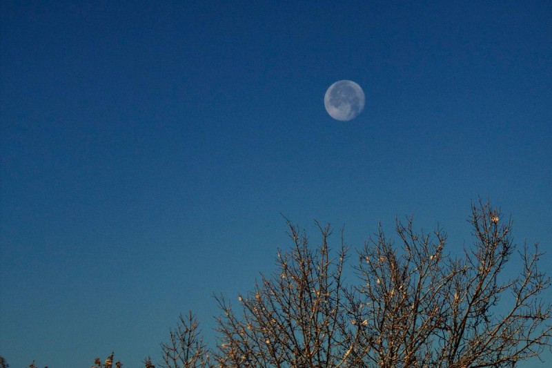 Flyer/Grafik zum Event: Abendwanderung im Lichterglanz am Mo., 30.12.2024 - Mo., 03.03.2025 ab 17:30 Uhr