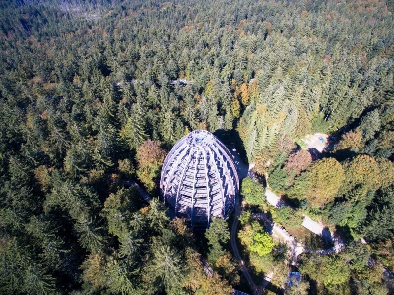 Flyer/Grafik zum Event: Deutsche Waldtage auf dem Baumwipfelpfad am Fr., 19.09.2025 - So., 21.09.2025