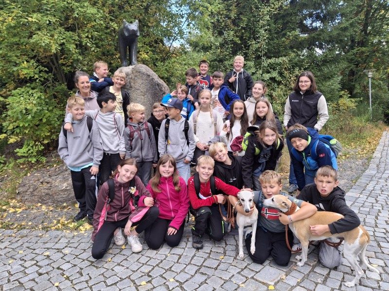 Gemeinsam mit Waldführern lernten die Grafenauer Fünftklässler, was die Wälder im Nationalpark Bayerischer Wald so besonders macht. Eine große Gruppe von Schülerinnen und Schülern posiert mit zwei Hunden und ihren Begleitern vor einer Statue eines Luchses im Grünen. Alle lächeln in die Kamera.
