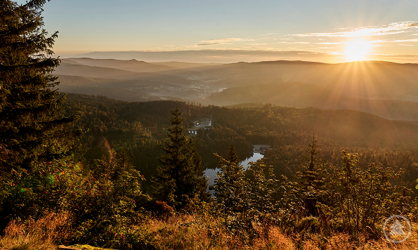 Pünktlich zum Beginn der Herbstferien zeigt sich die FNBW mit milden Temperaturen und einem goldenen Naturkleid noch einmal von ihrer strahlendsten Seite