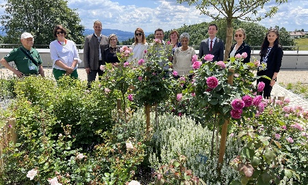 Blühende Beziehungen